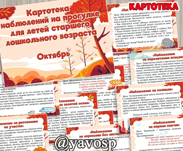 Картотека наблюдений на прогулке в октябре