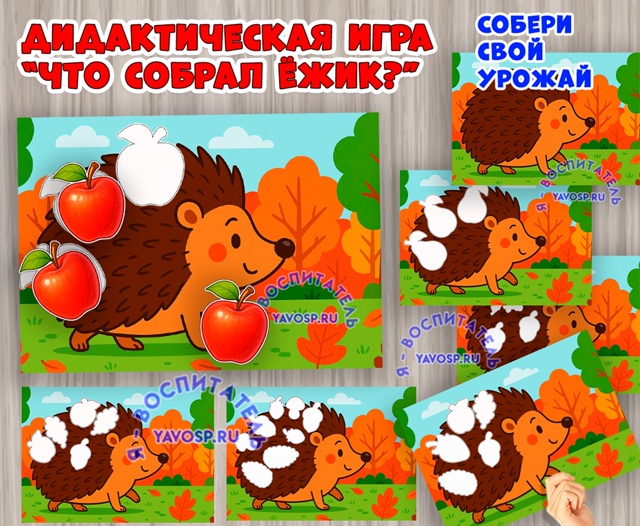 Игра "Что собрал ёжик"