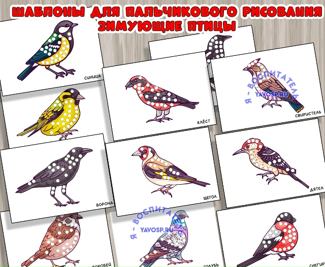 Шаблоны "Зимующие птицы"