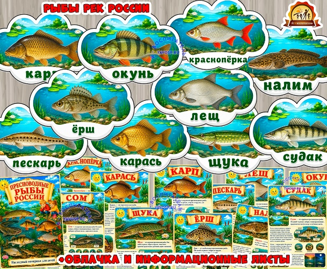 Пресноводные рыбы России