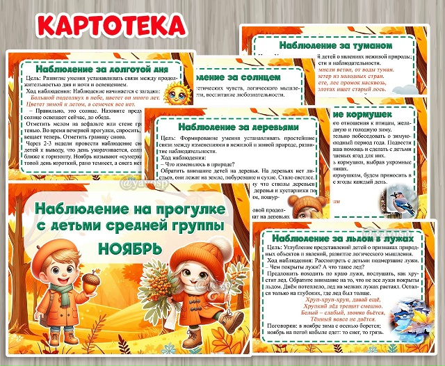 Картотека наблюдений на прогулке в ноябре