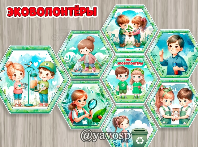 Эковолонтёры