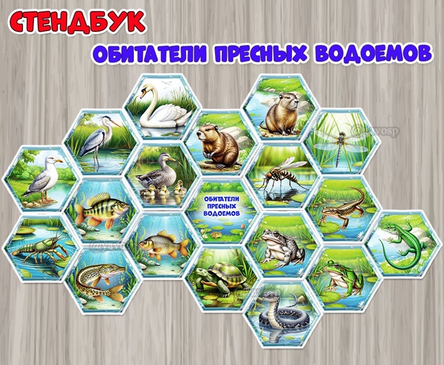 Стендбук «Обитатели пресных водоемов»