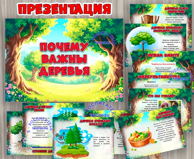 Презентация «Почему важны деревья»