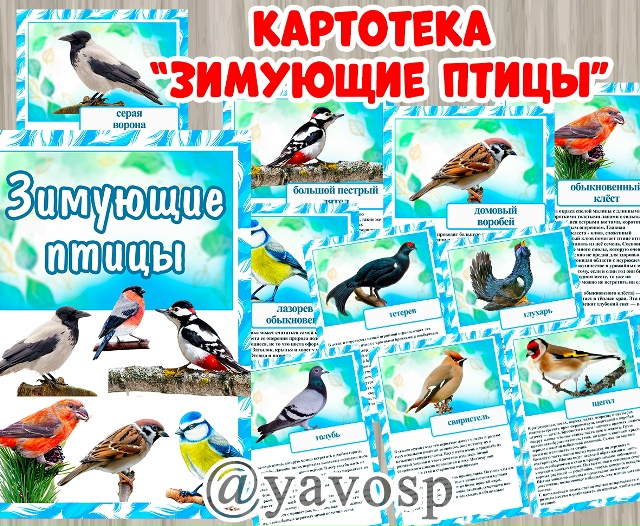 Зимующие птицы. Весь комплект