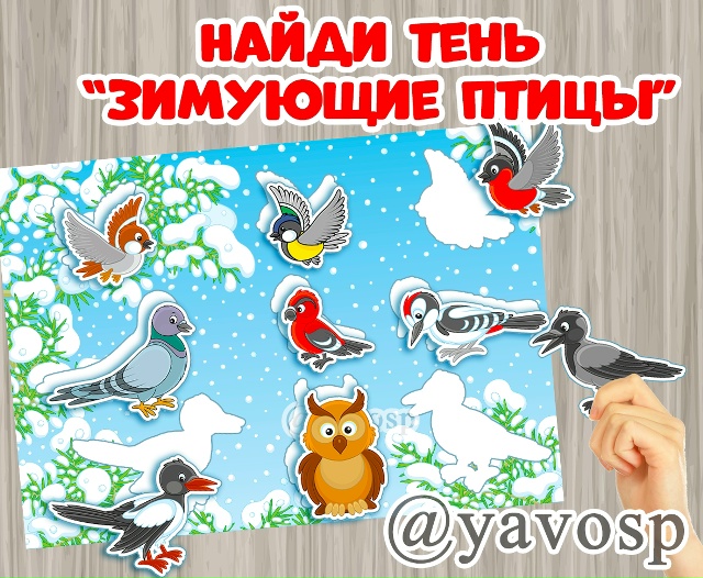 Игра Найди тень "Зимующие птицы".
