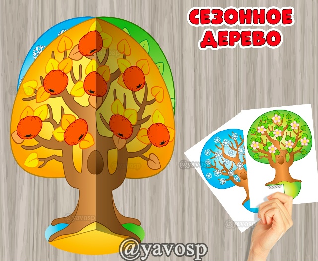 Сезонное дерево - яблоня