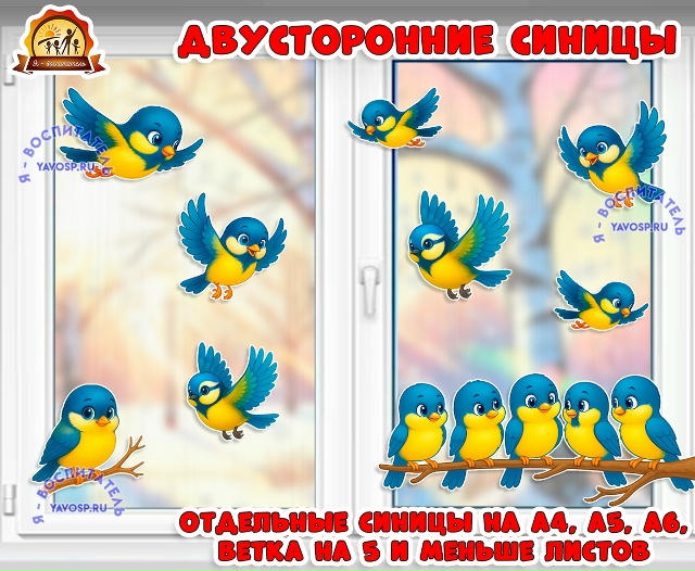 Двусторонние синицы в полете и на ветке