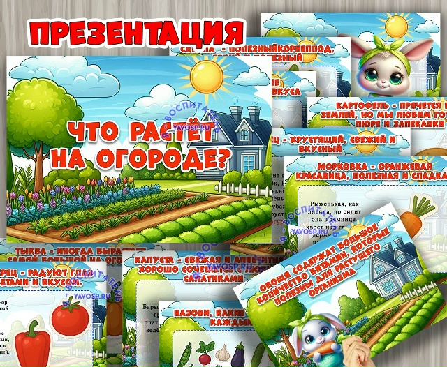 Презентация «Что растёт на огороде»