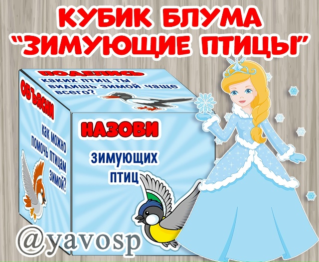 Кубик Блума "зимующие птицы"