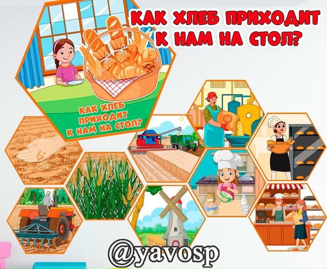 Как хлеб пришел к нам на стол?