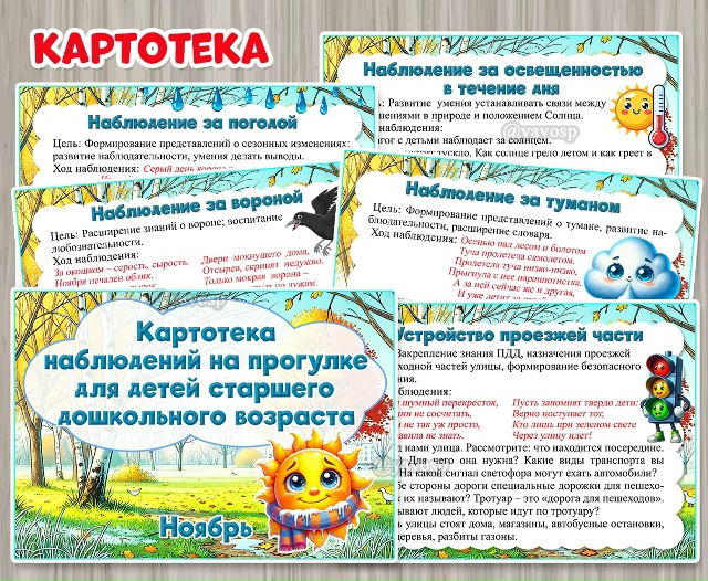 Картотека наблюдений на прогулке в ноябре