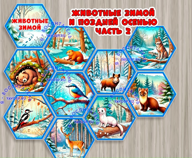 Стендбук "Животные поздней осенью и зимой". Часть 2