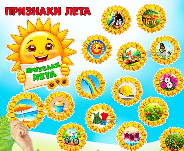Признаки лета в картинках