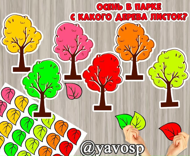 С какого дерева листок?