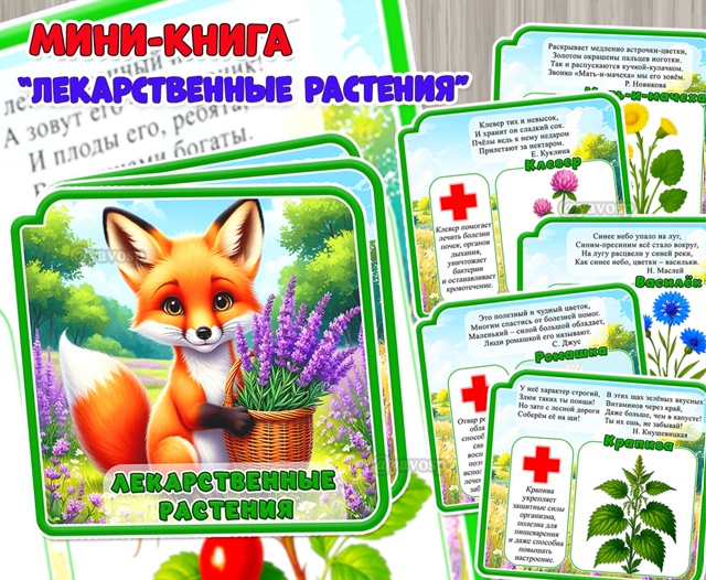 Мини-книга «Лекарственные растения» из 10 страниц: 8 растений + обложка.