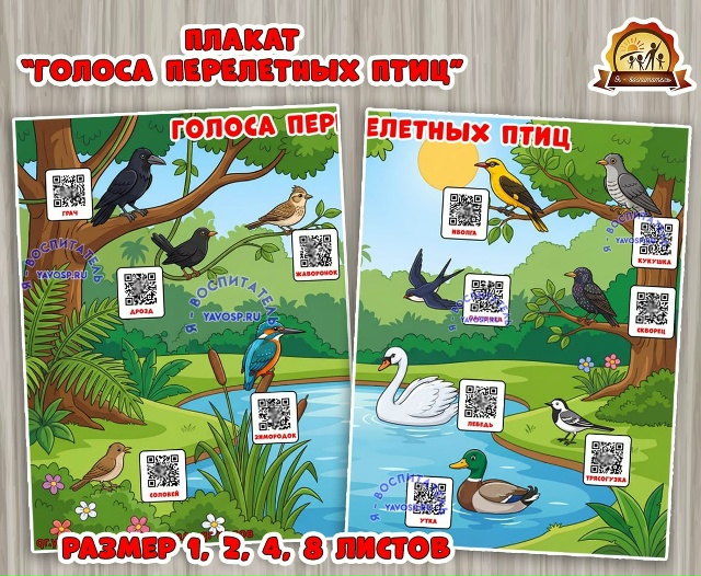 Плакат "Голоса перелетных птиц" с QR-кодами
