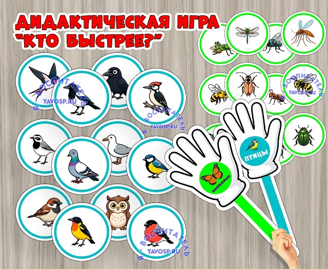 Дидактическая игра «Кто быстрее?»