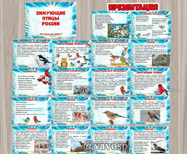 Презентация "Зимующие птицы"