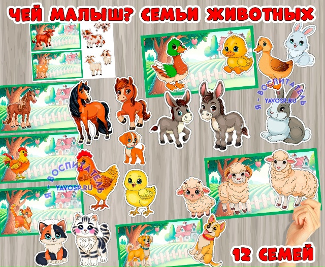 Дидактическая игра "Чей малыш"? "Семьи животных"