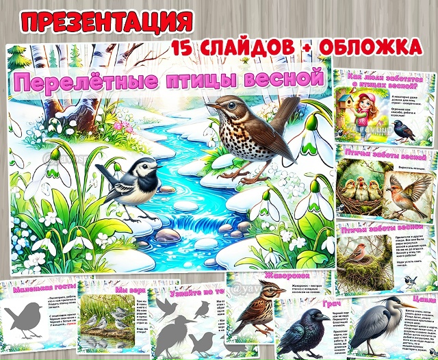 Презентация «Перелетные птицы весной»