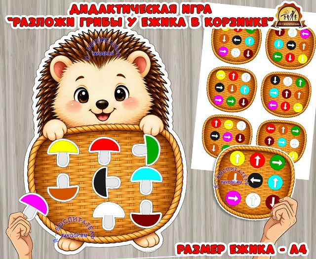 Дидактическая игра «Разложи грибы у ежика в корзинке»