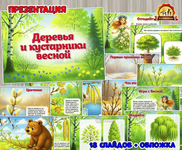 Презентация «Деревья и кустарники весной»