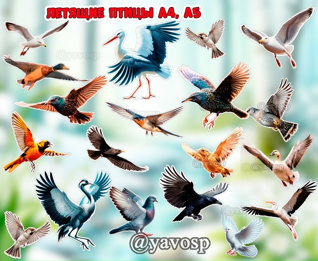 Летящие птицы