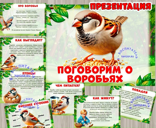 Презентация «Поговорим о воробьях»