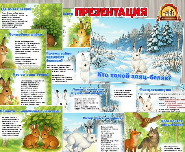 «Кто такой заяц-беляк?»