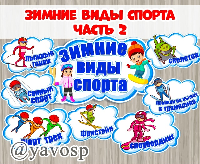 Зимние виды спорта
