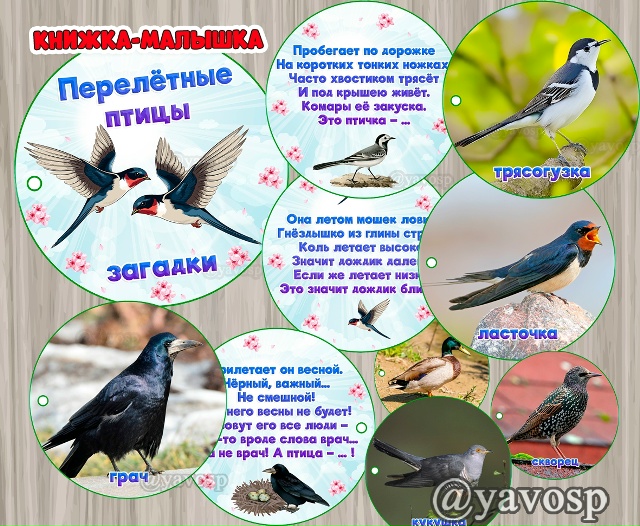 Книжка - малышка "Перелетные птицы. Загадки"