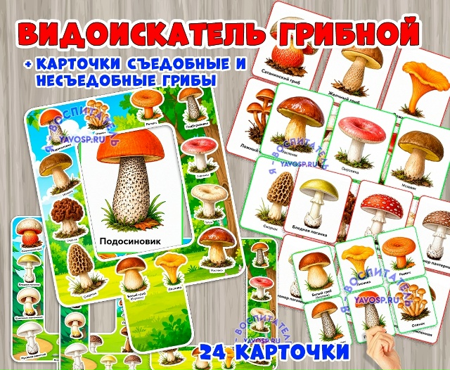 Видоискатель "Грибы"