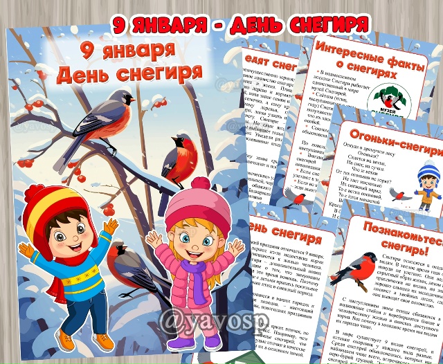 9 января - день снегиря