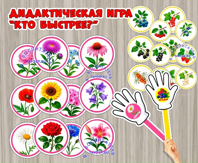 Дидактическая игра «Кто быстрее?» (цветы и ягоды)