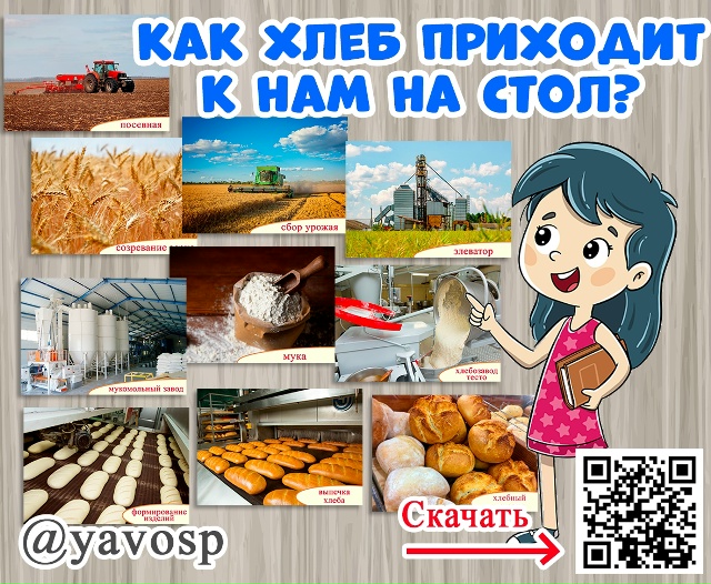Как хлеб приходит к нам на стол?