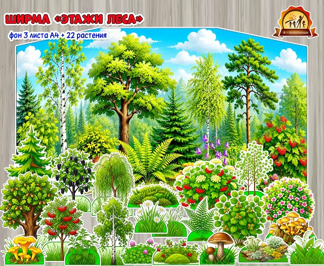 Ширма «Этажи леса»