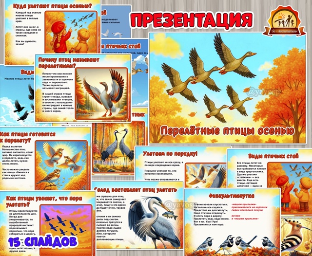Презентация «Перелетные птицы осенью»