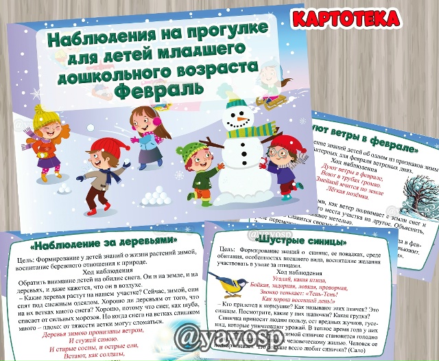 Картотека наблюдений на прогулке в ФЕВРАЛЕ