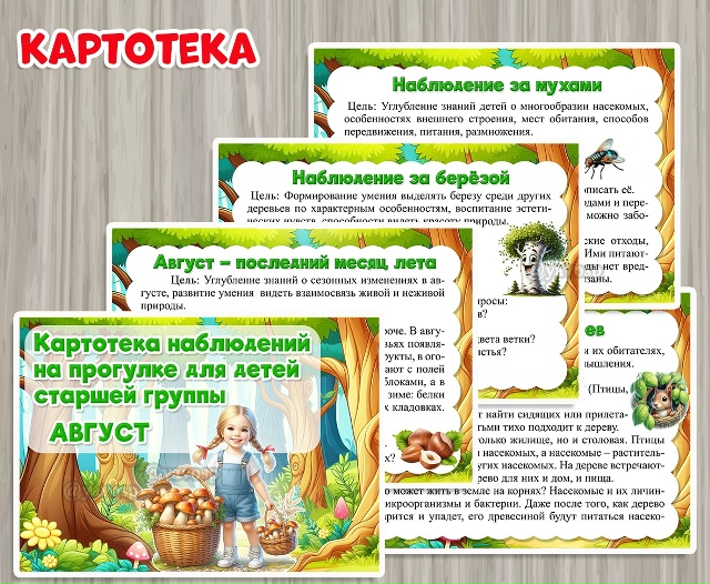 Картотека наблюдений на прогулке в августе