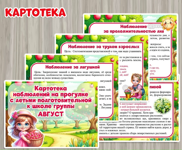 Картотека наблюдений на прогулке в августе
