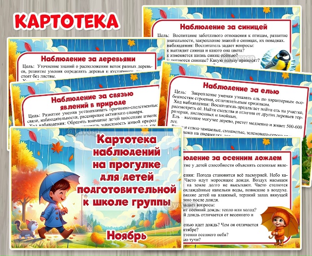 Картотека наблюдений на прогулке в ноябре