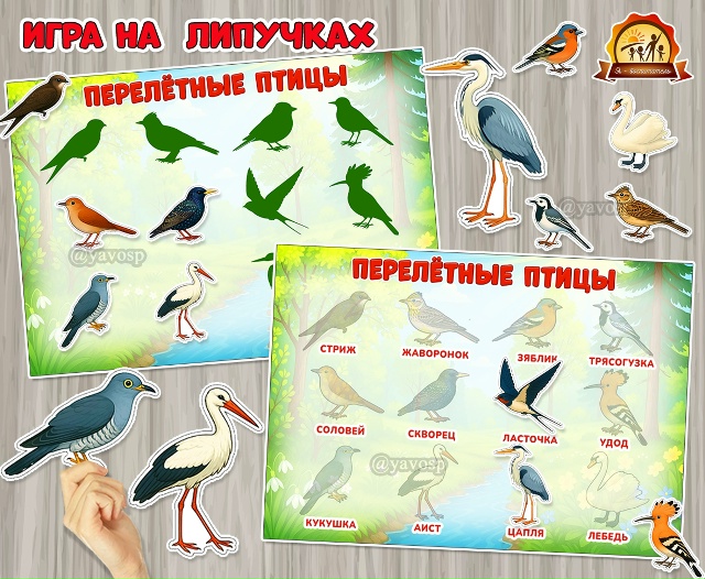 Игра на липучках «Перелетные птицы»