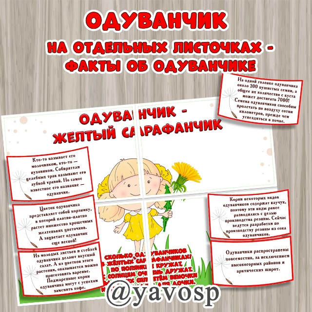 Изучаем одуванчик.