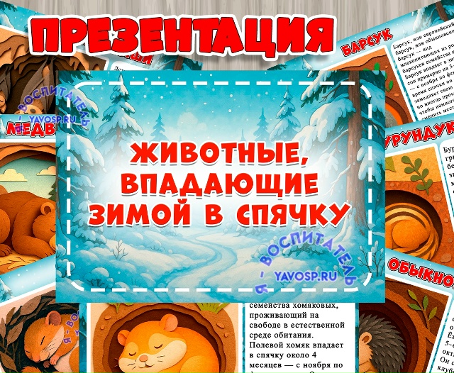 Презентация "Животные, впадающие в спячку"